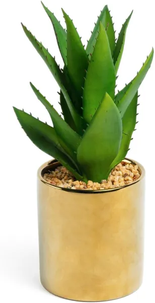 Agave, Tekokasvi, kulta/vihreä, H11x20x20 cm