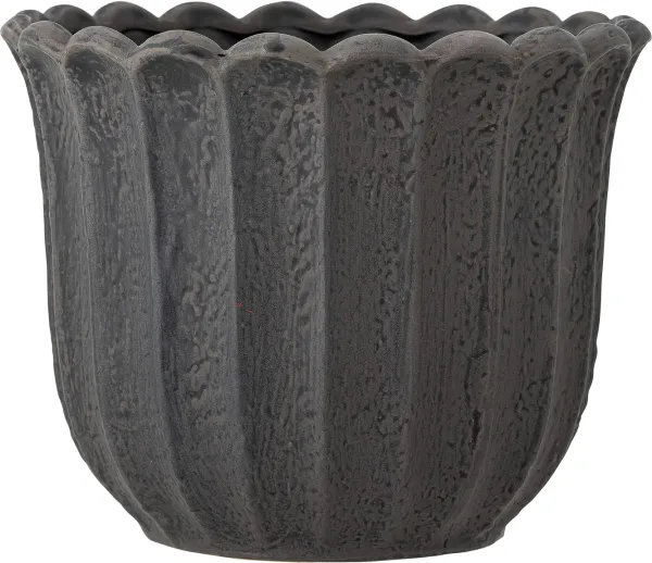 Chaca, Kukkaroruukku, tummanruskea